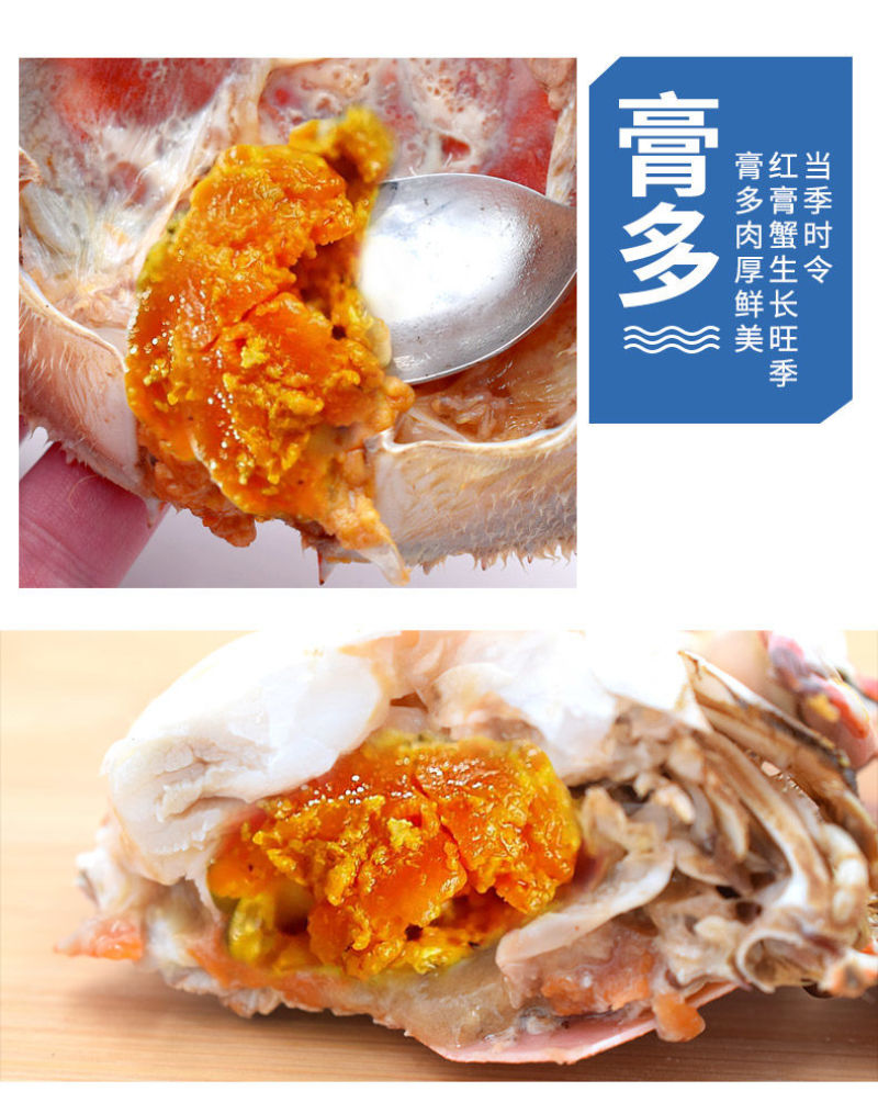 【一件代发】包邮海捕新鲜鲜活梭子蟹螃蟹母蟹