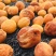 新货新疆吊干杏四团树上吊死干杏干特级无添加农家天然