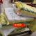 新货新疆吊干杏四团树上吊死干杏干特级无添加农家天然