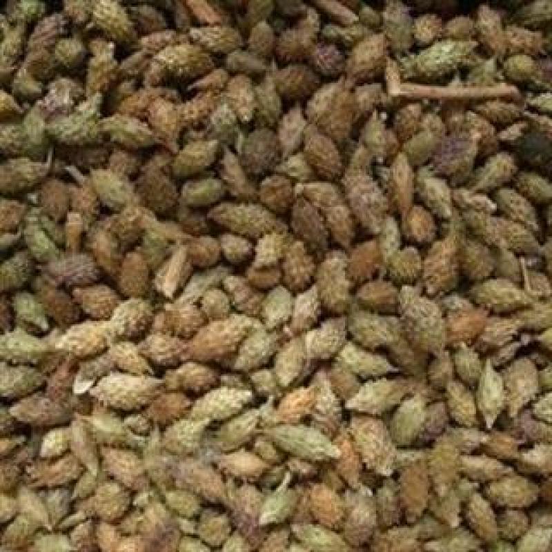 野生苍耳子耳实去刺苍耳带刺苍耳成熟新货促销