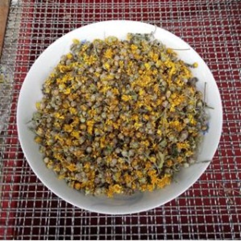 今年新货产地直销山区野菊花500克小菊花山菊花好货价优