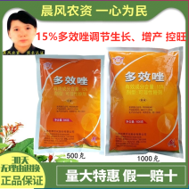 江苏剑牌15%多效唑控制生长调节生长增产矮化剂矮壮素控旺