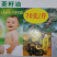 油茶树苗包正宗其茶油可食用外敷推广种植品种作用大