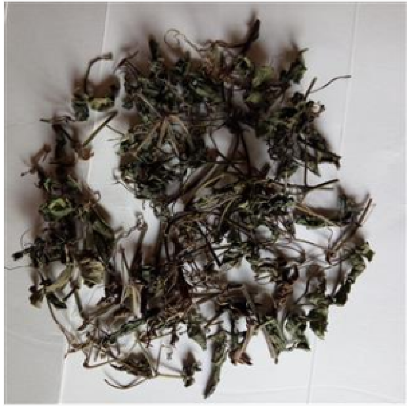 深山野生绞股蓝无硫正品绞股蓝茶无硫中药材
