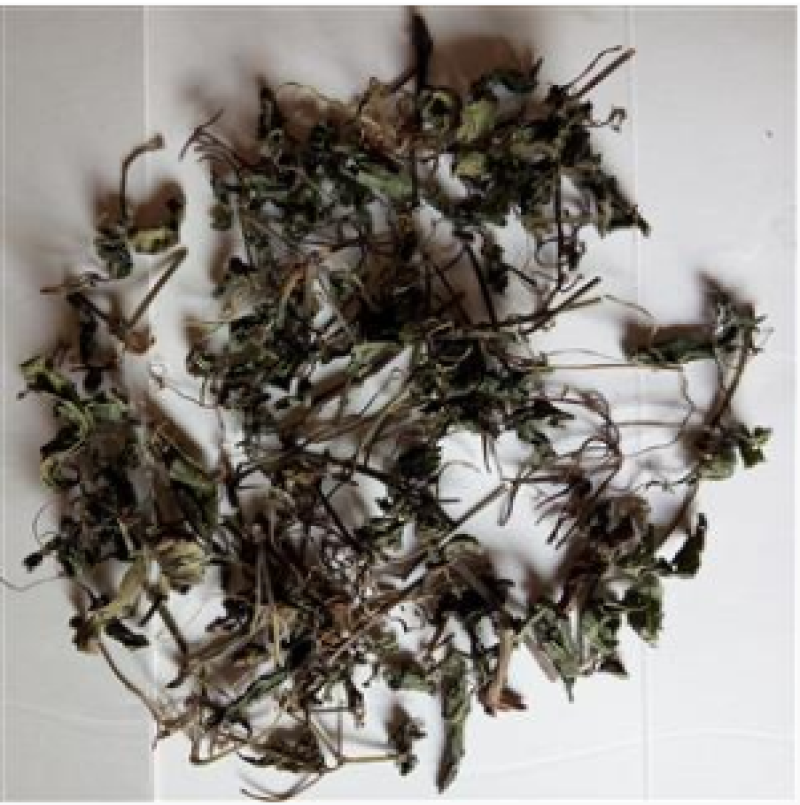 深山野生绞股蓝无硫正品绞股蓝茶无硫中药材