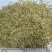 耐阴草(鸭茅)别名果园草、林下草,有鸭茅种子大量供应