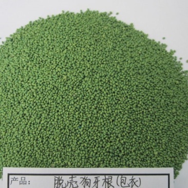 狗芽根又名绊根草，百慕大，匍匐能力极强，在草坪广泛应用