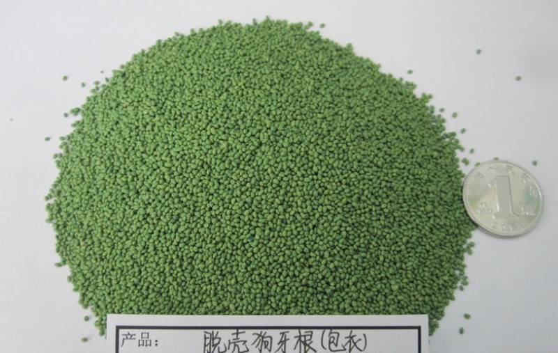 狗芽根又名绊根草，百慕大，匍匐能力极强，在草坪广泛应用
