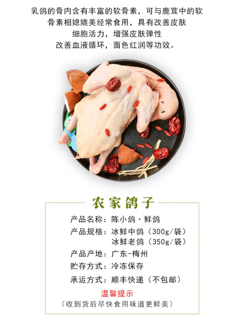 陈小鸽®鲜中鸽，肉质细嫩，优质蛋白，杂粮喂养，营养丰富