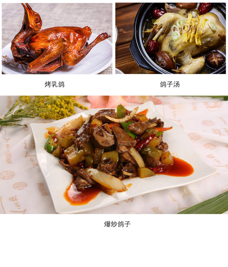 陈小鸽®鲜中鸽，肉质细嫩，优质蛋白，杂粮喂养，营养丰富