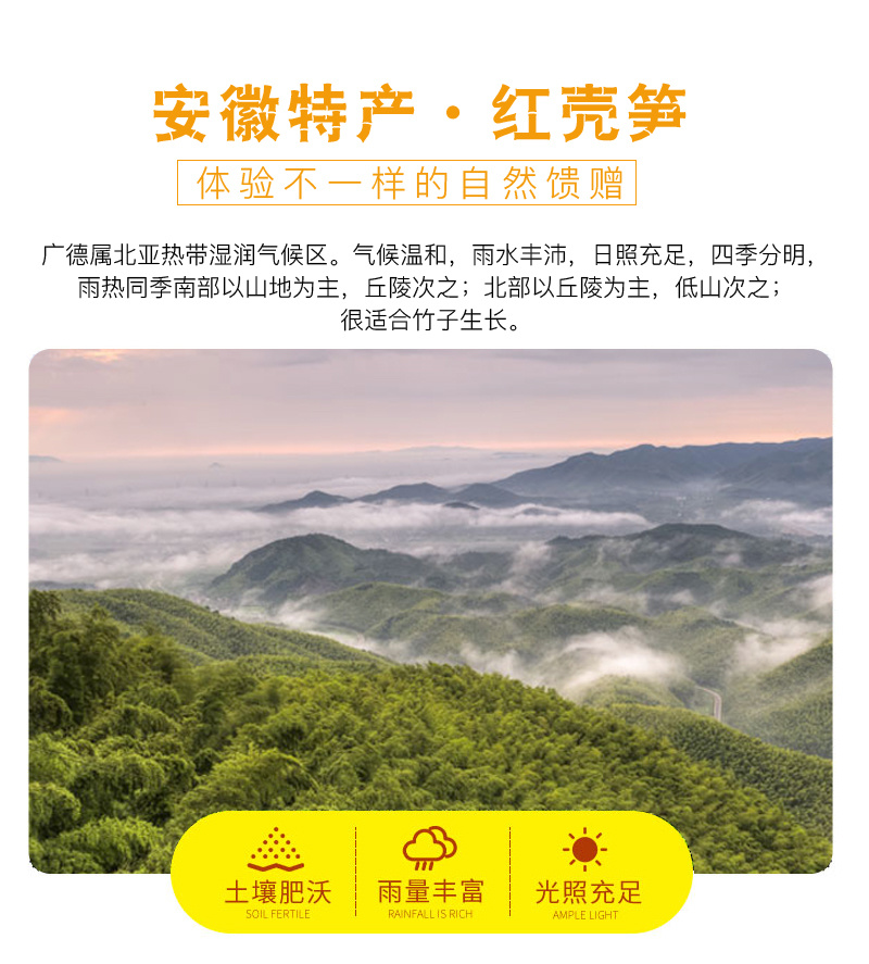 红壳笋竹笋干货独立包装