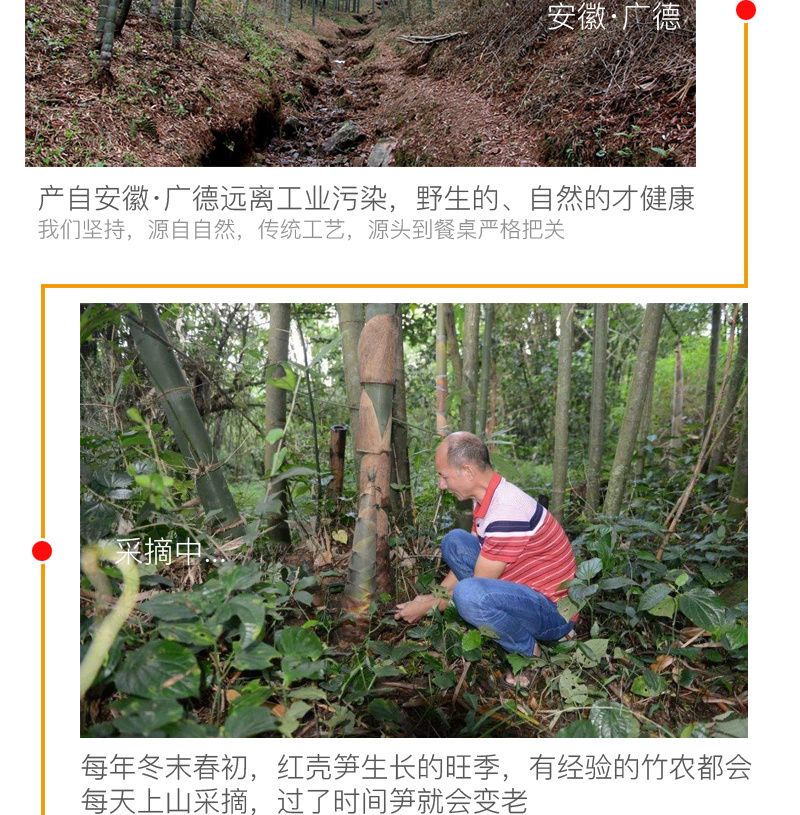 红壳笋竹笋干货独立包装