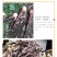 红壳笋竹笋干货独立包装