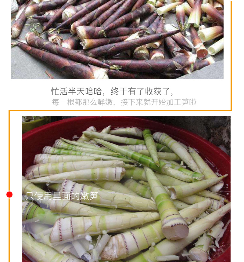 红壳笋竹笋干货独立包装