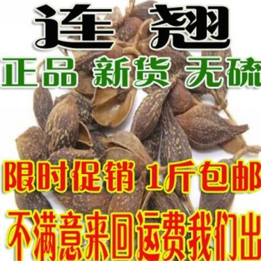 一件代发正品无硫无硫新货连翘青翘批500克发包邮