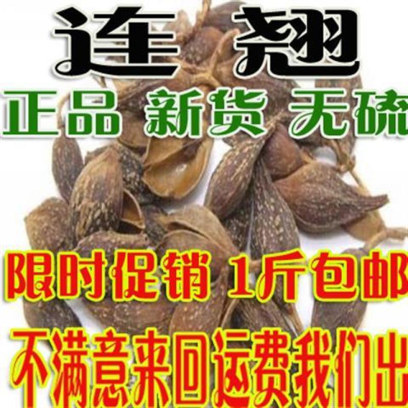一件代发正品无硫无硫新货连翘青翘批500克发包邮