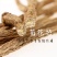 正宗甘肃批发党参条可配野生黄芪党参粉片泡脚煲汤包邮