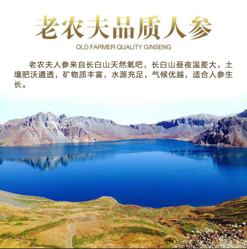 一件代发【长白山干人参】5支精品礼盒装送礼煲汤泡酒