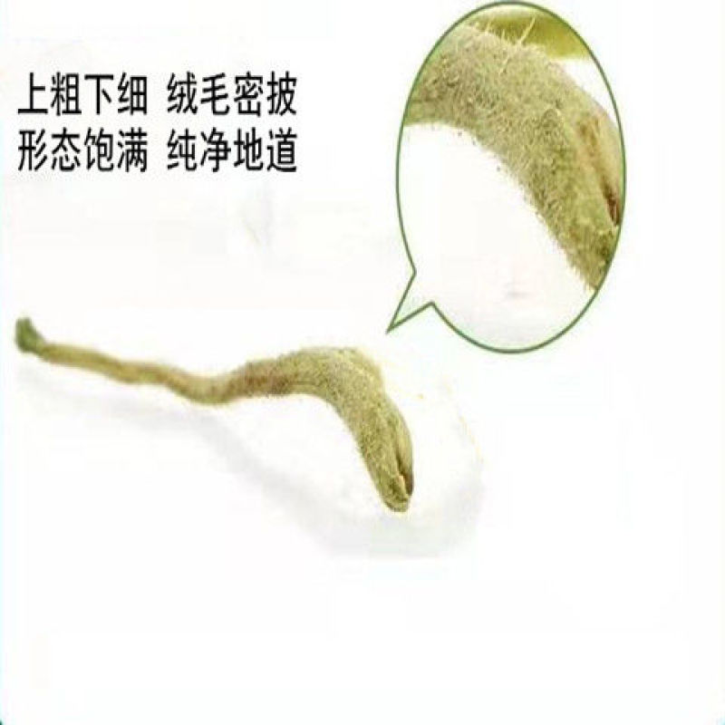 包邮特级金银花多规格搭配选择金银花茶清热去火散装