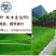 草坪种子批发护坡草坪停车场草坪边坡草坪