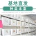 草坪种子批发护坡草坪停车场草坪边坡草坪