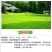 草坪种子批发护坡草坪停车场草坪边坡草坪