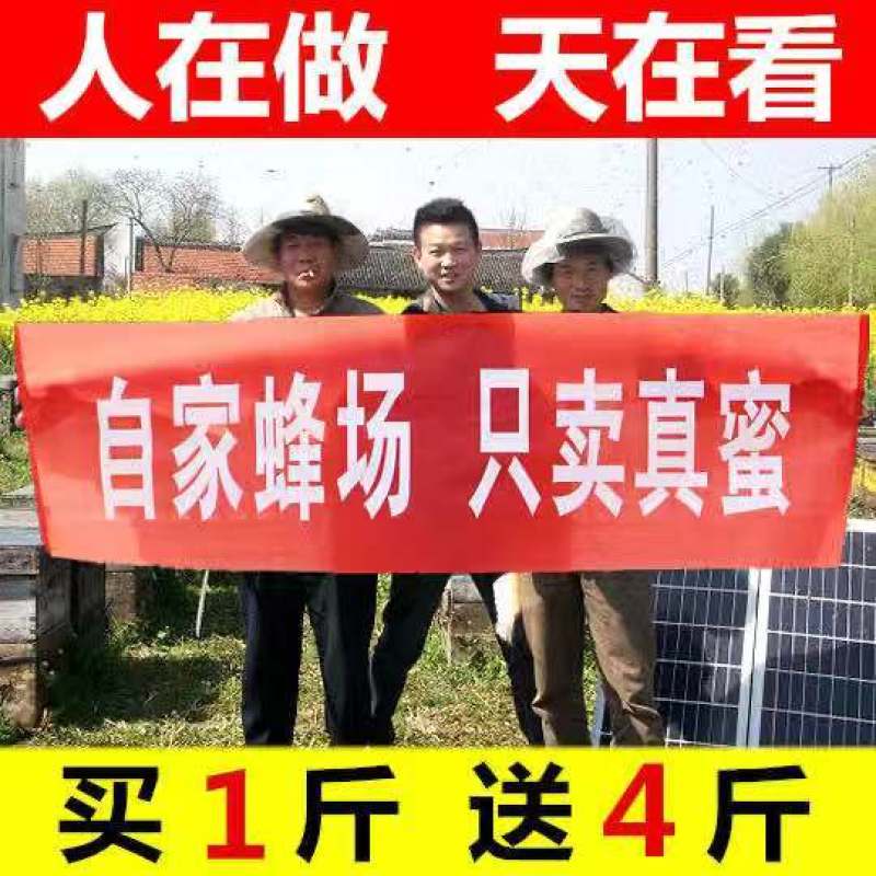 一件代发深山百花蜜土蜂蜜农家自产自销自然成熟封盖