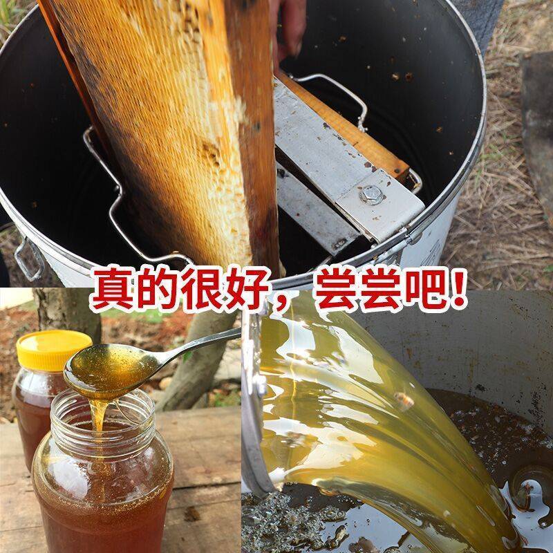 一件代发深山百花蜜土蜂蜜农家自产自销自然成熟封盖