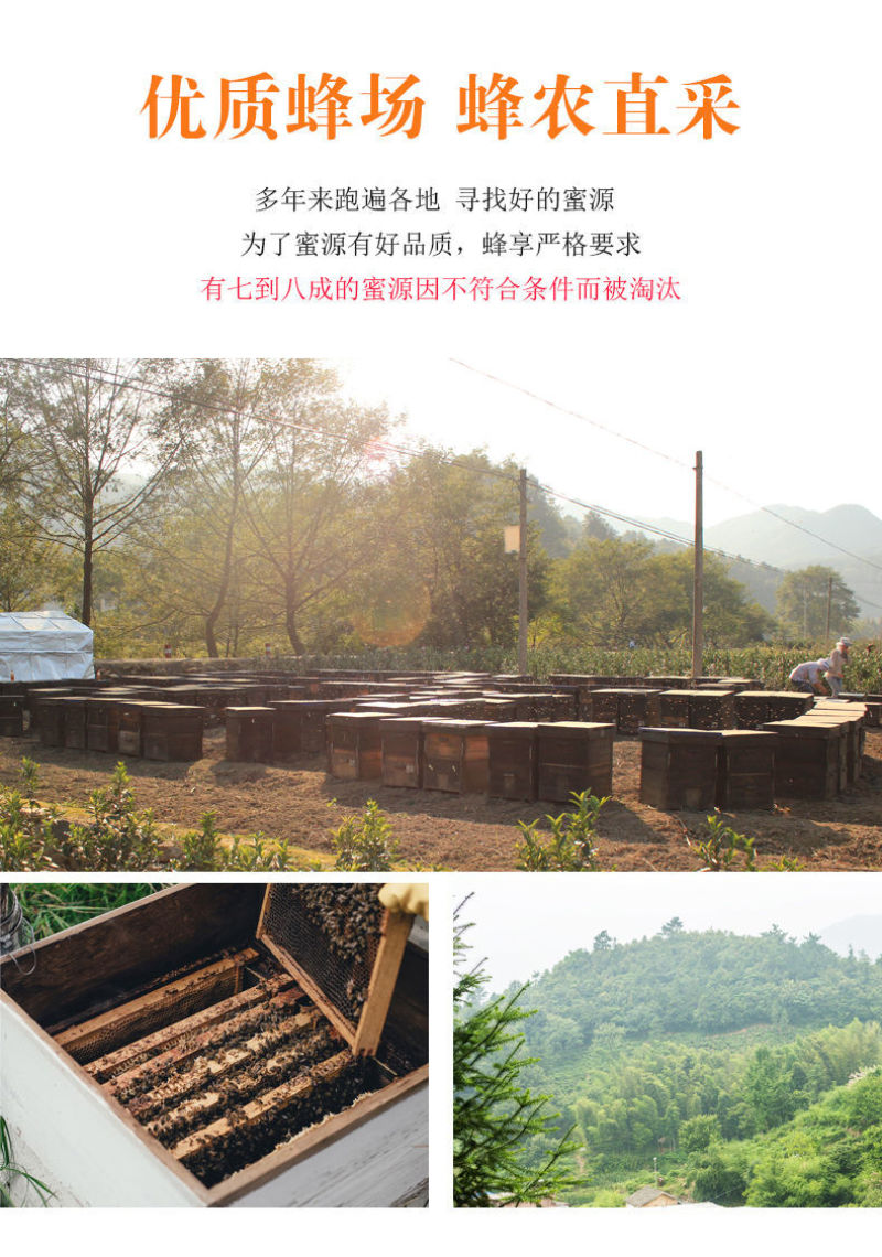 一件代发包邮农家自养深山正宗土蜂蜜蜂场地发