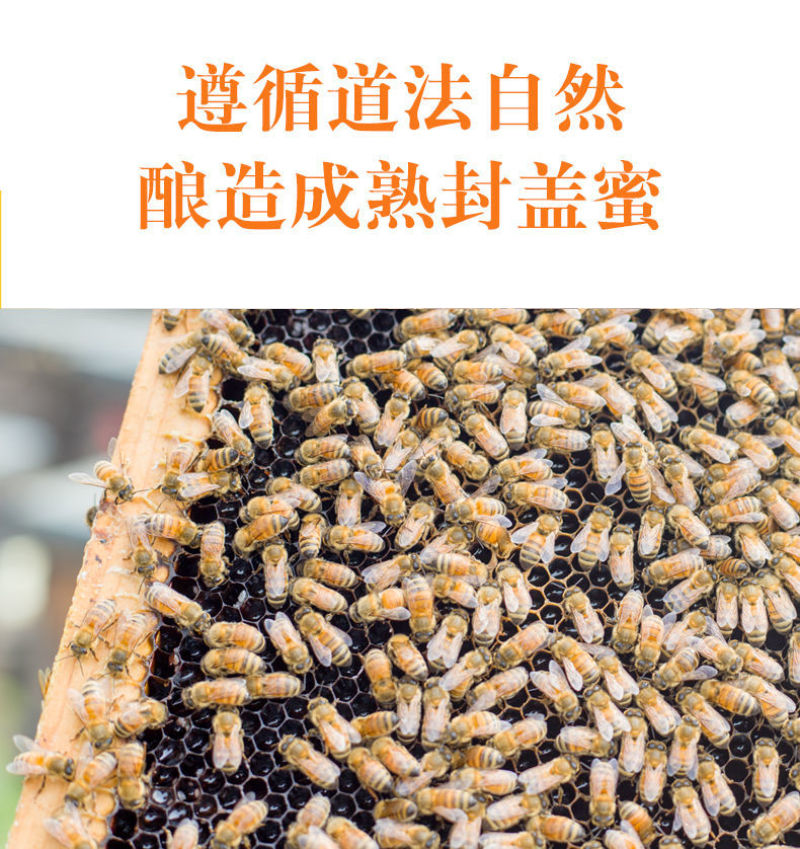 一件代发包邮农家自养深山正宗土蜂蜜蜂场地发