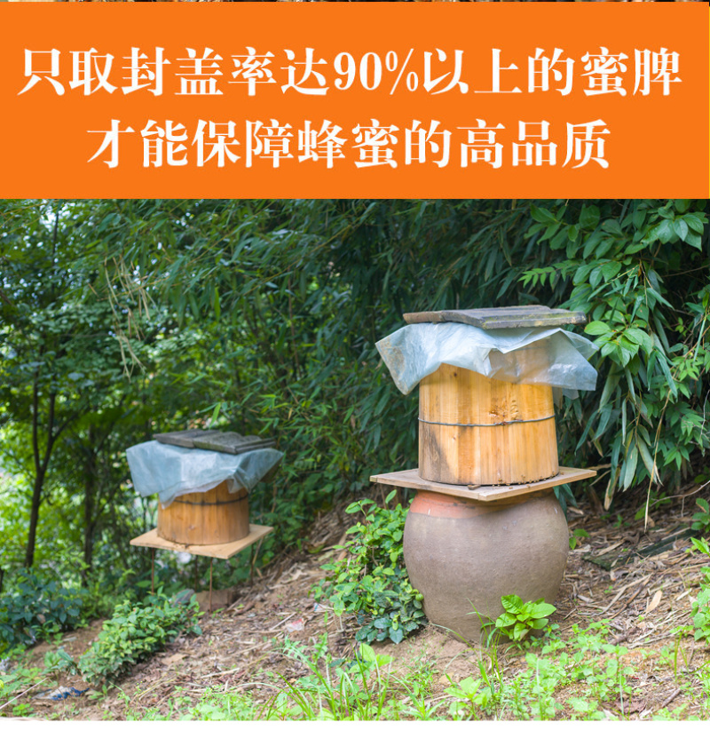 一件代发包邮农家自养深山正宗土蜂蜜蜂场地发