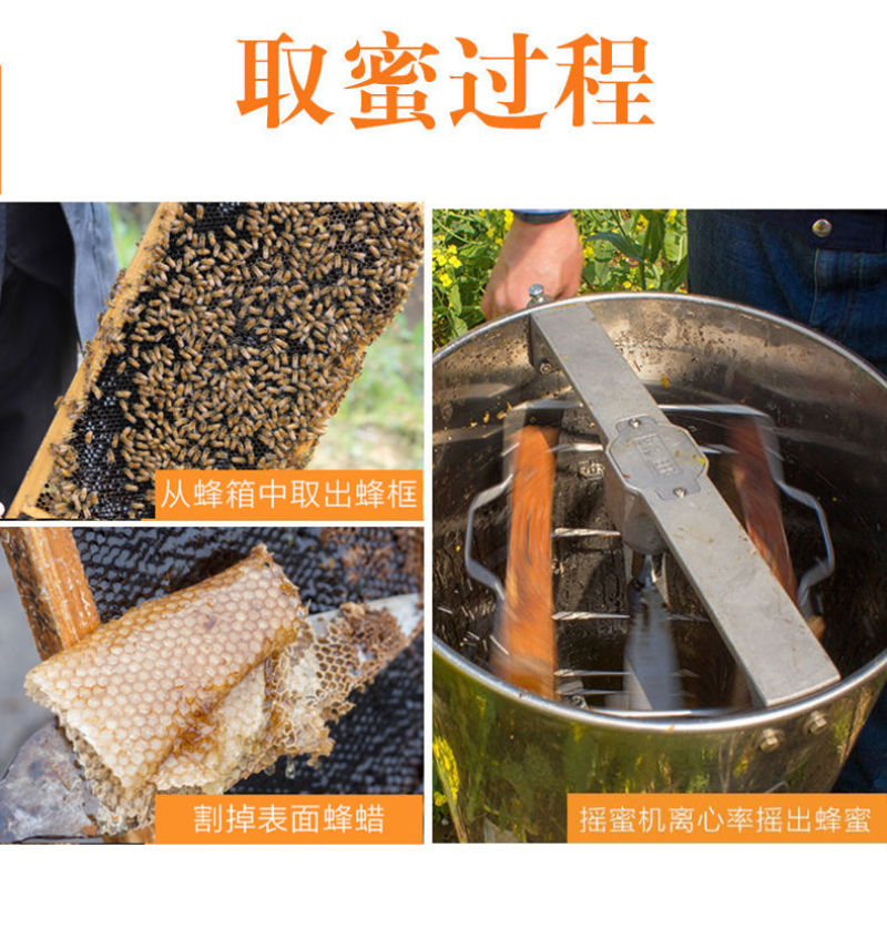 一件代发包邮农家自养深山正宗土蜂蜜蜂场地发