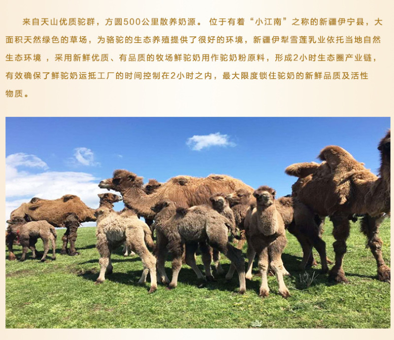 翰巴拉hanbala新疆纯奶粉375克无蔗糖儿童中老年人