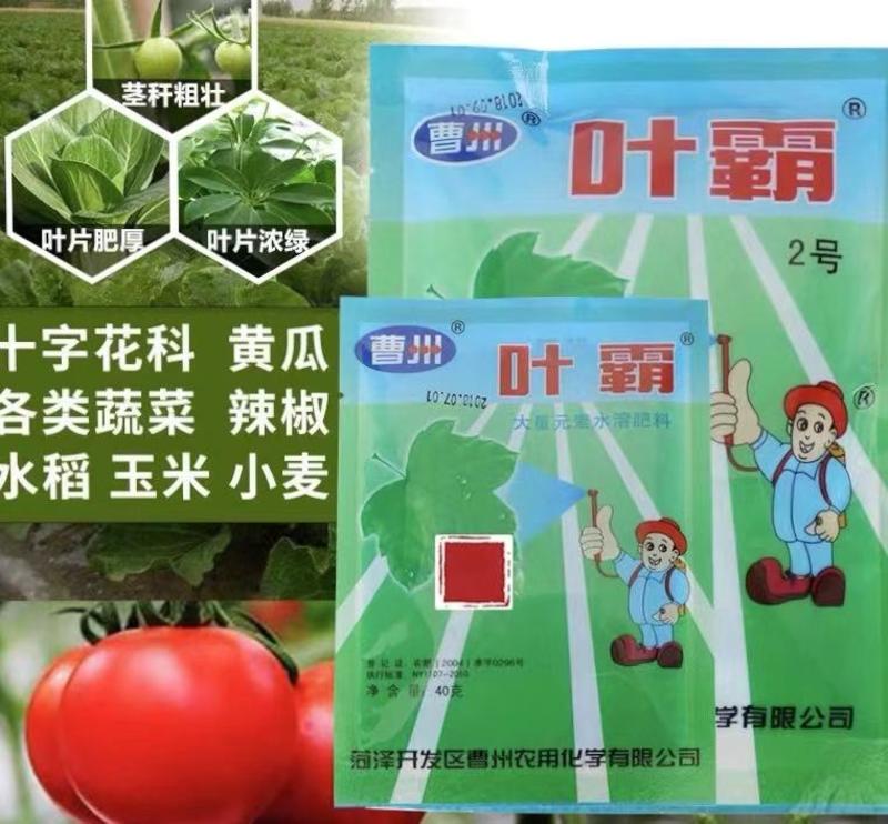 曹州叶霸面通用水溶肥料草莓花卉蔬菜解病害营养液200克
