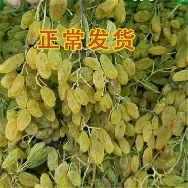 正常发货新疆吐鲁番葡萄干1000g免洗散装即食干果无籽