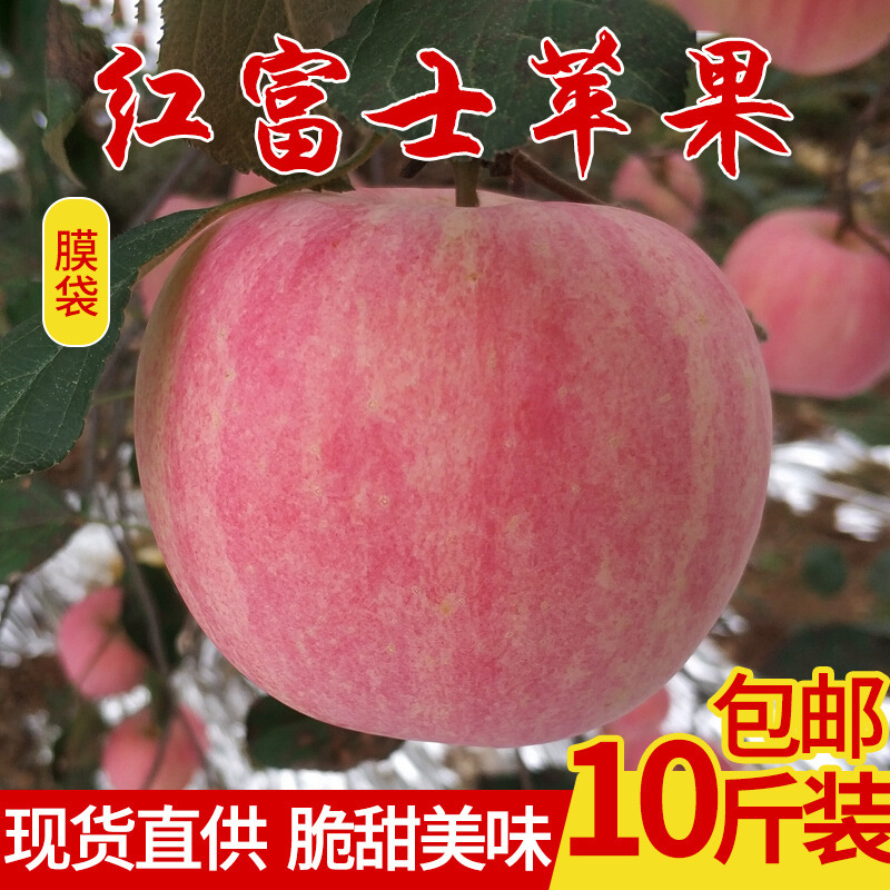 山西红富士苹果10斤装包邮新鲜现摘脆甜可口冰糖心红