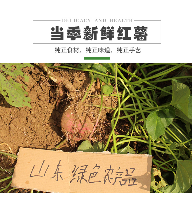 纯手工自制无添加红薯粉条山东正宗地瓜火锅粉山芋干苕粉