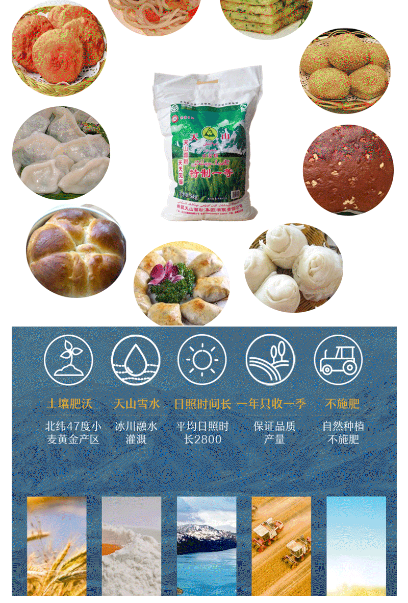 新疆天山面粉5kg/10斤新疆直发拉面面包饺子中筋粉小麦