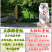 香妃王葡萄干无籽红绿1000g超新疆特产大特2019新货