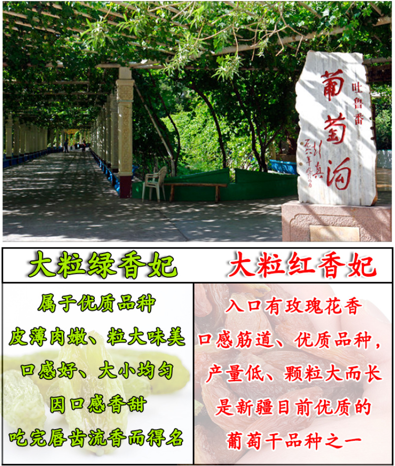 香妃王葡萄干无籽红绿1000g超新疆特产大特2019新货