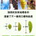 香妃王葡萄干无籽红绿1000g超新疆特产大特2019新货
