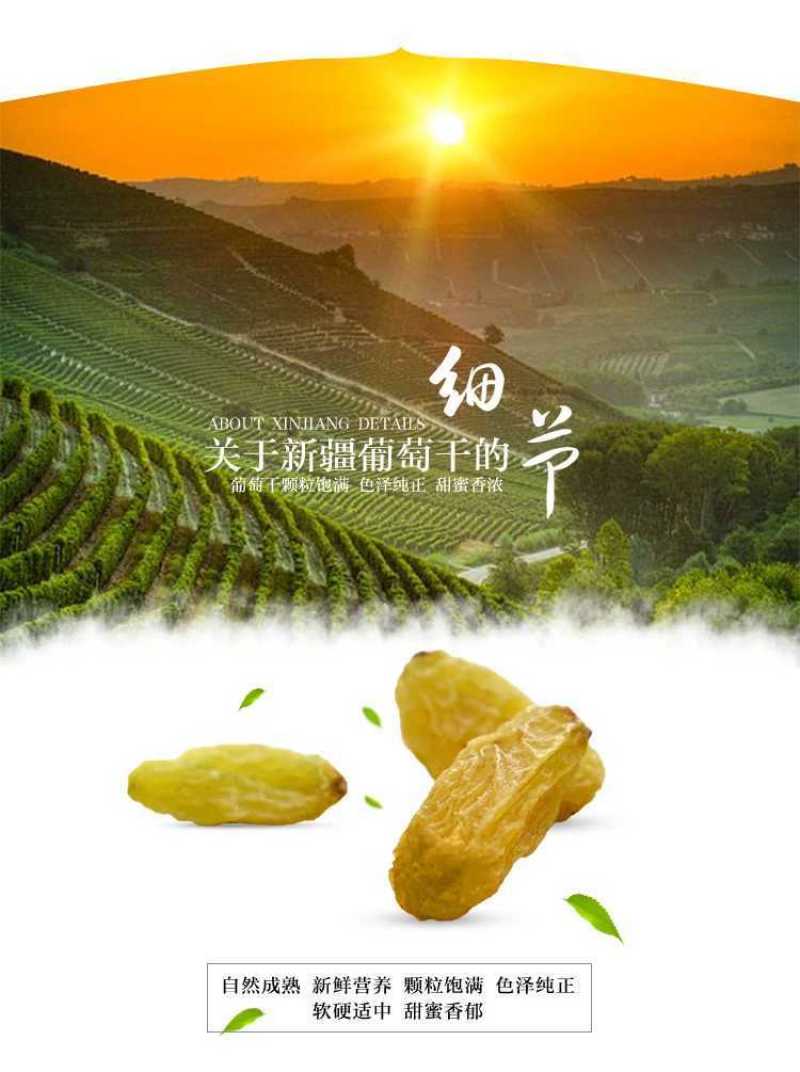 新疆葡萄干500g四色葡萄干混装黑加仑红香妃树上黄绿宝石