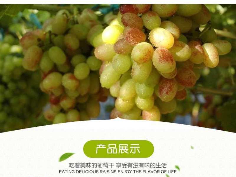 新疆葡萄干500g四色葡萄干混装黑加仑红香妃树上黄绿宝石