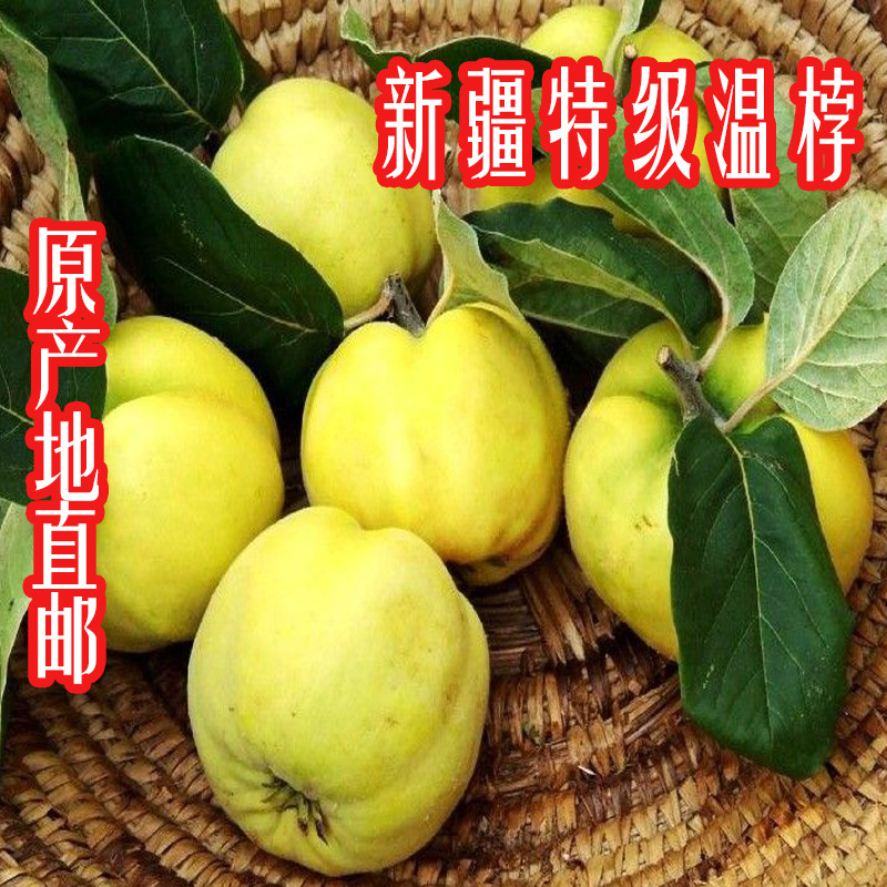 2019年新鲜榲桲3斤新疆特色温桲水果之皇万寿瓜榅桲