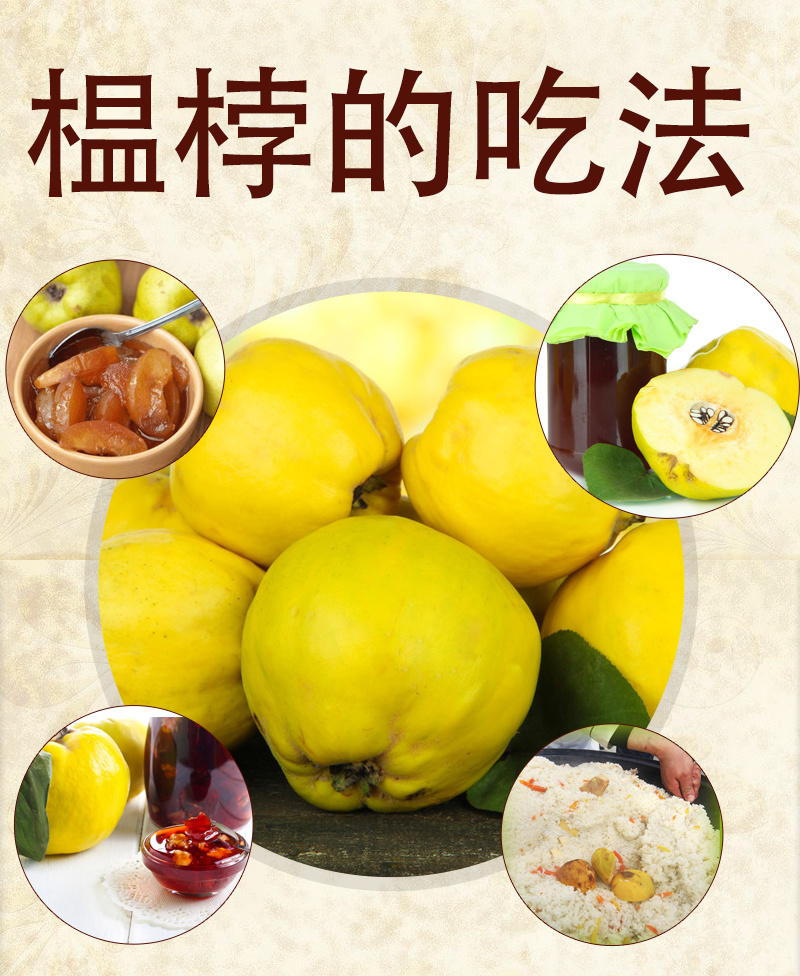 2019年新鲜榲桲3斤新疆特色温桲水果之皇万寿瓜榅桲