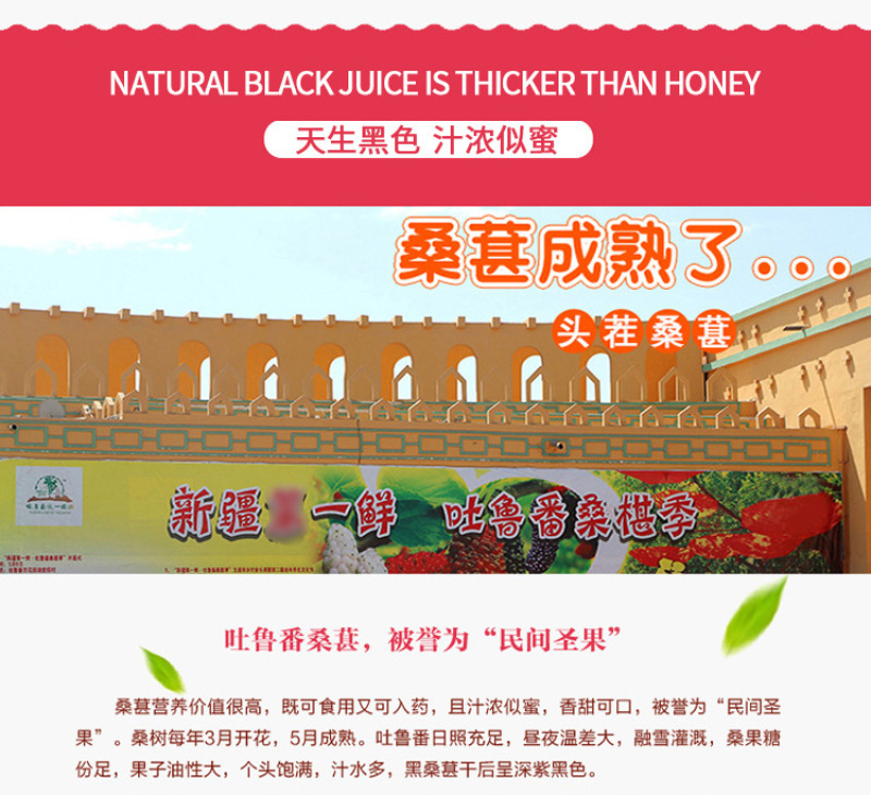 新疆吐鲁番特等黑桑葚干原味水果干果脯养生休闲零食