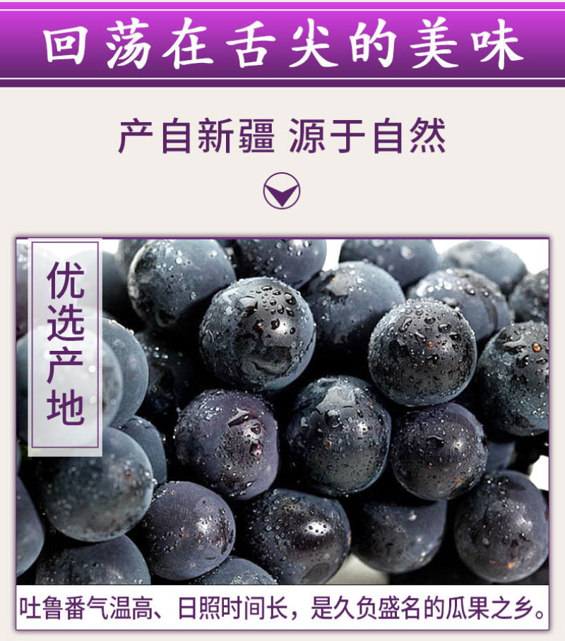 黑加仑葡萄干500g无籽黑提子免洗小包新疆特产手抓包