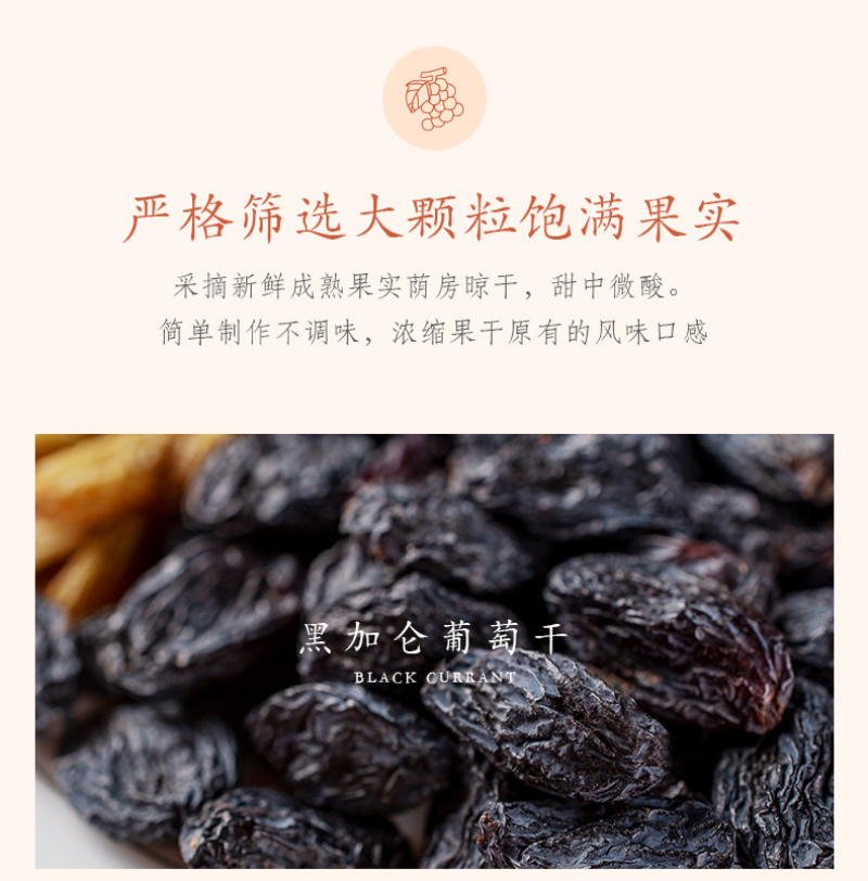 新货新疆特产绿葡萄干500g大罐装吐鲁番红香妃黑加仑免洗