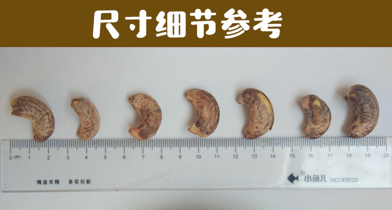 【当天发货】【A180超大颗粒盐焗带皮腰果】500g包装