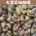 【当天发货】【A180超大颗粒盐焗带皮腰果】500g包装